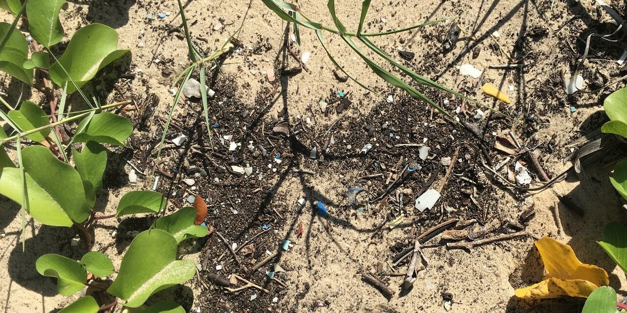 Microplastiques sur une plage de Milibangalala au Mozambique