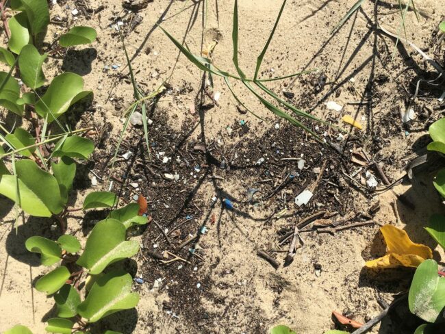 Microplastiques sur une plage de Milibangalala au Mozambique